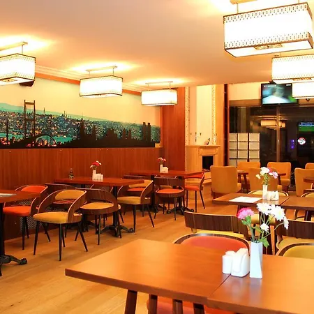 Otel Arden Park & 4*