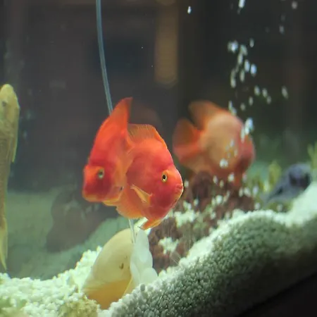 Arden Park & Otel 4*